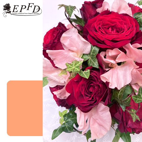 フレッシュフラワー　ラウンドアレンジメント