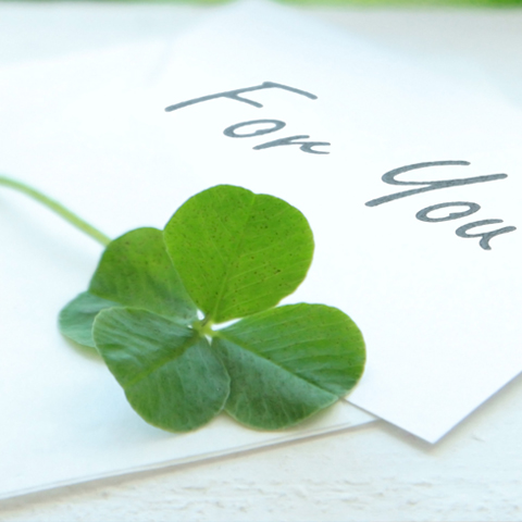 協会特典一覧表