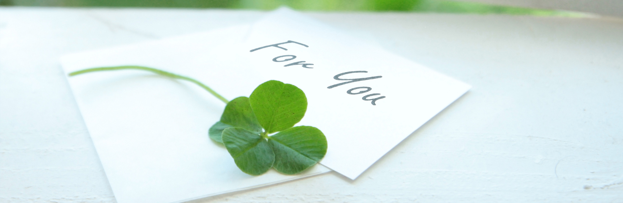 協会会員特典一覧表