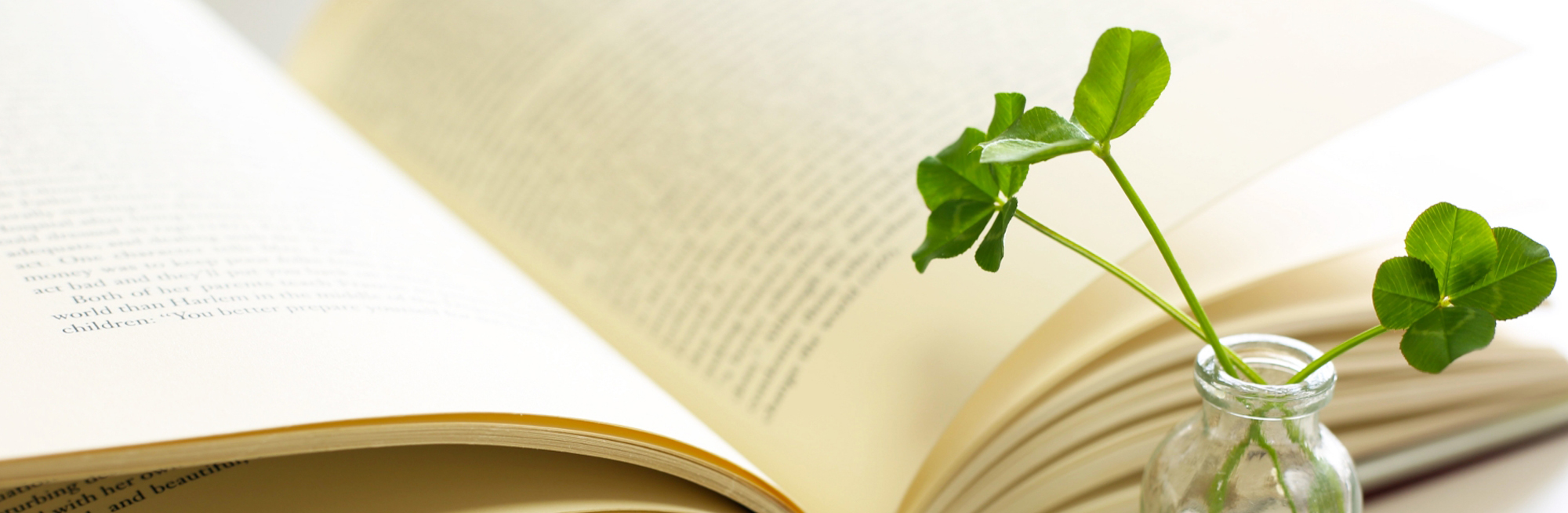 メンバーページ